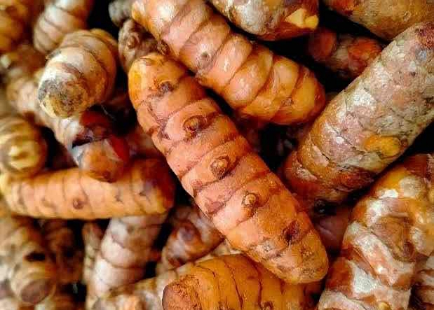 MOVA GLOBAL COMMODITY - turmeric Photo 2